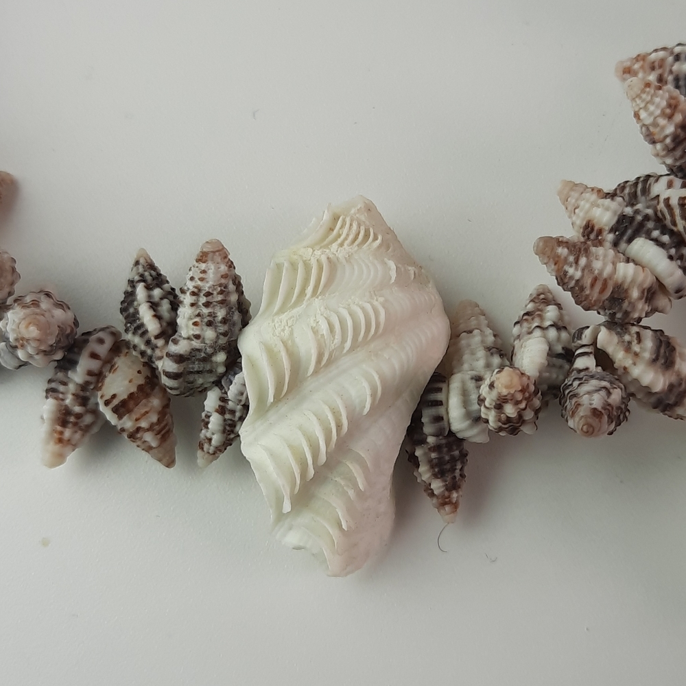 Shell necklace - Picture 2 of 2